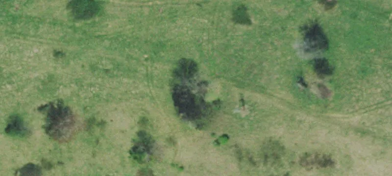 Ivey Farms Rd