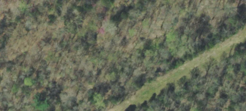 Bethel Vly Rd