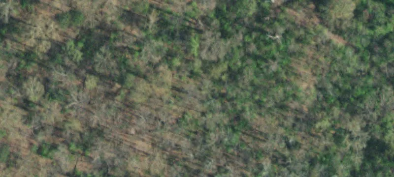 4520 Enka Hwy