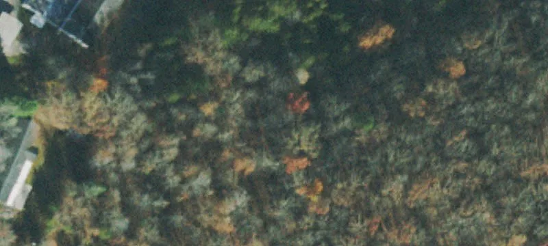 12092 Scott Hwy