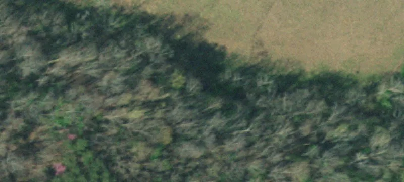 285 Sipes Ln