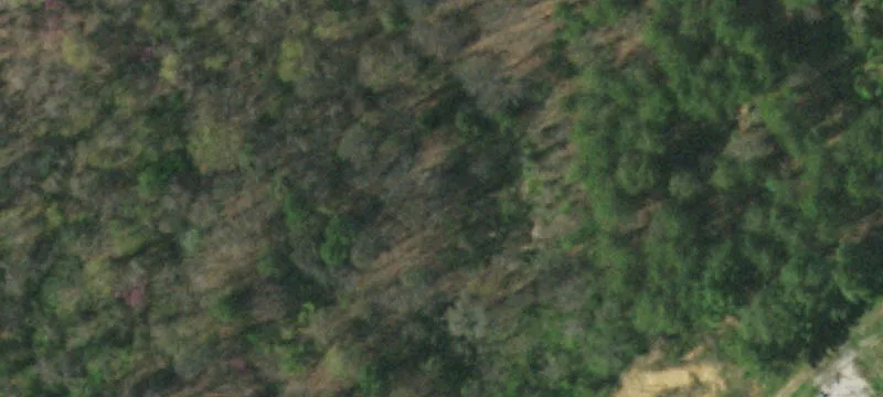 229 Burem Rd