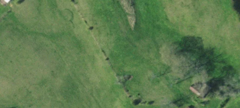 1894 Hwy 113