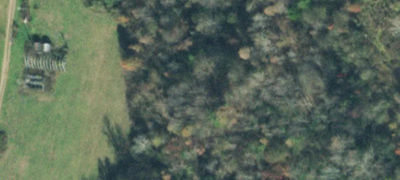 250 Osteen Ln