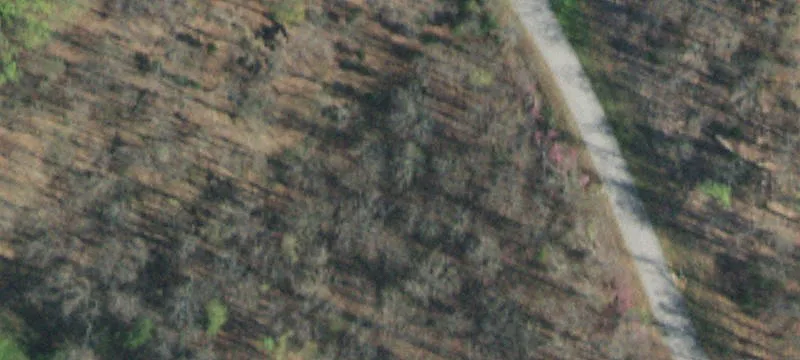 1955 Turners Landing Rd
