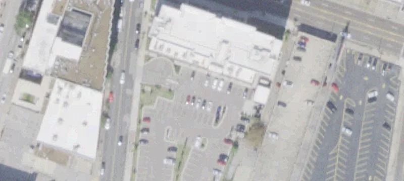 195 Un Ave