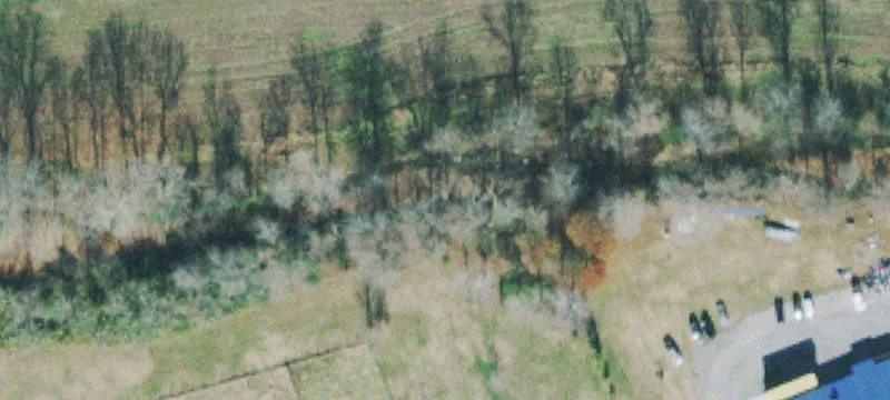 1619 Hwy 79