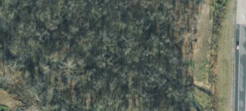 Fernshaw Ln