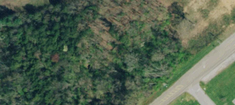 Hwy 11th W
