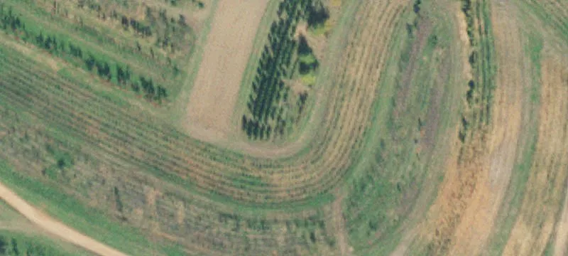 469 Carl Hitchcock Rd