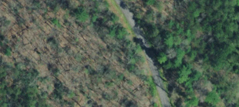 290 Fox Holw Rd