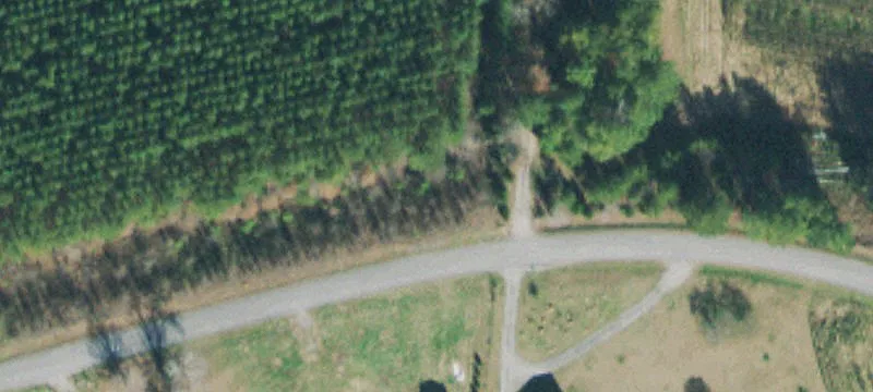 1900 Bains Rd