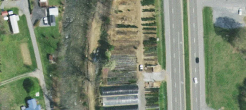4950 Hwy 19th E
