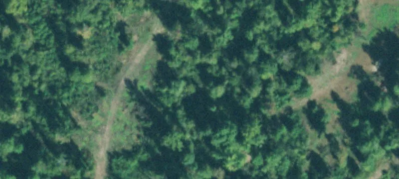 Forked Deer Riv