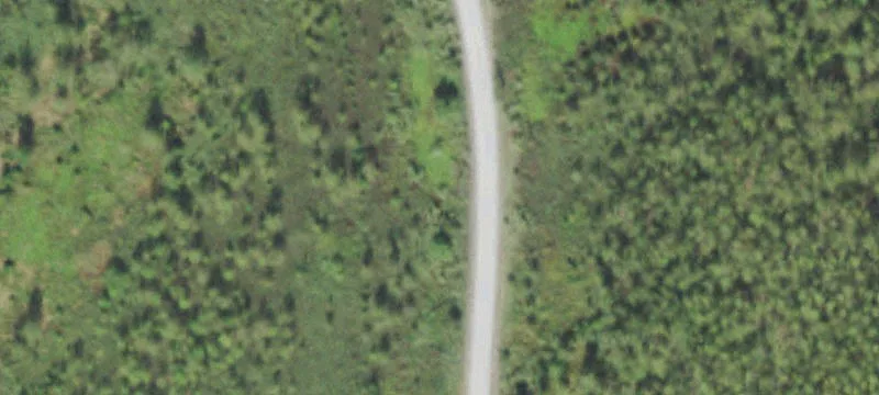 Crane Rd