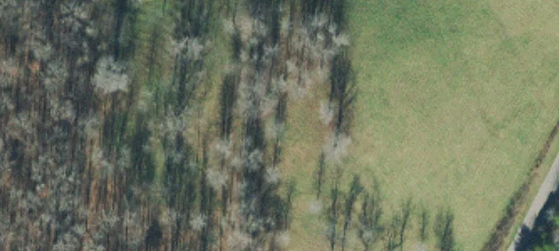 Baugh Rd