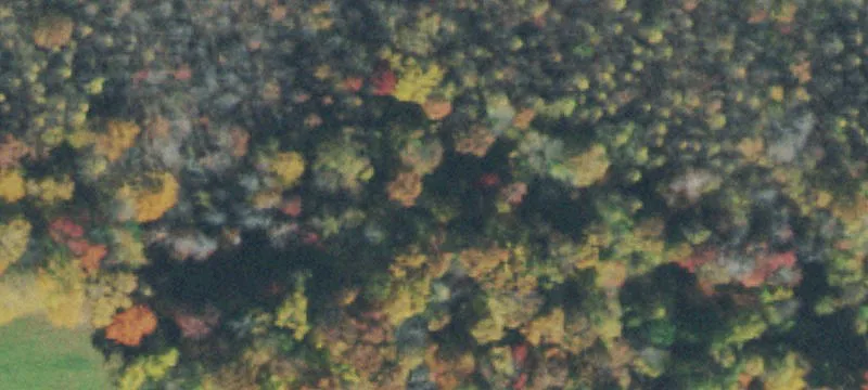 699 Old Gravel Rd