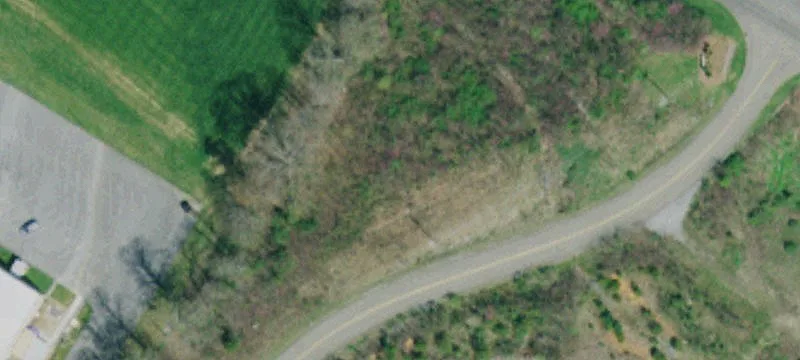 Buffalo Rd, TN