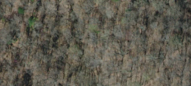 2616 Clinch Mountain Rd