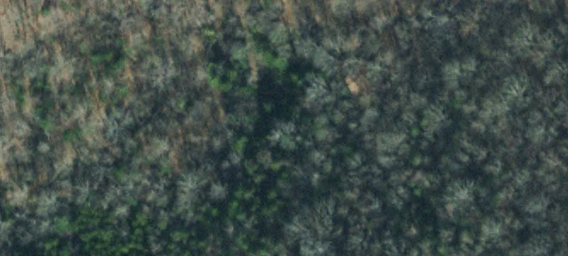 9332 Horton Hwy