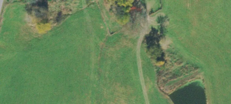 Nestle Hollow