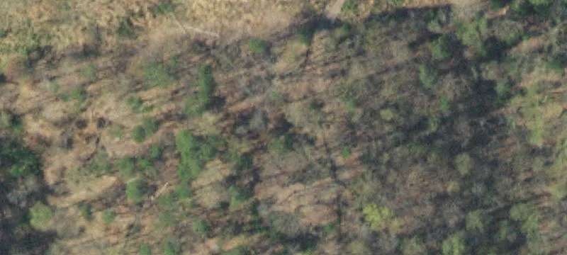 Boy Scout Rd, TN