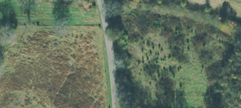Free State Rd