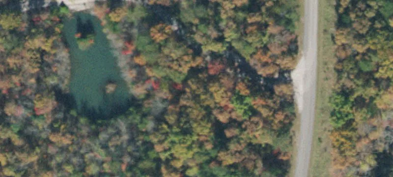 Bridal Veil