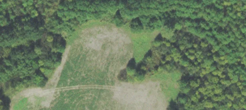 Henry Carr Rd