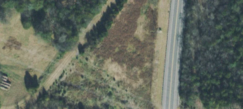 Mt Juliet Rd