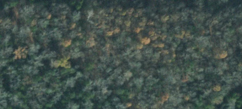 John Bragg Hwy