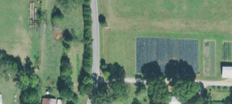 199 Dardey Rd