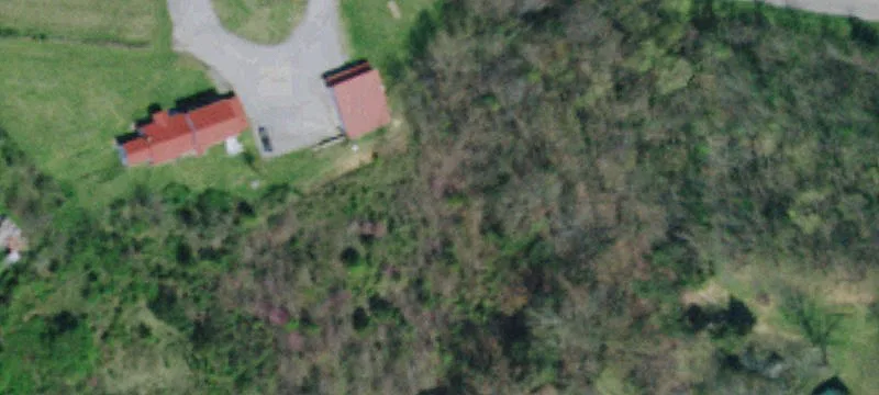 10320 Andrew Johnson Hwy