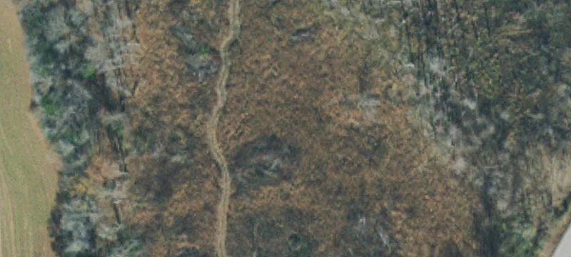 450 Ledford Ml Rd