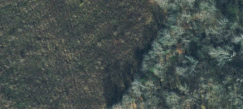 Luyben Hls Rd
