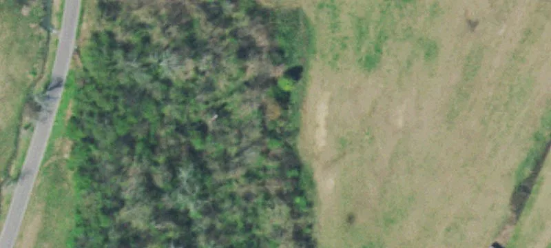 333 Pleasant Grv Rd