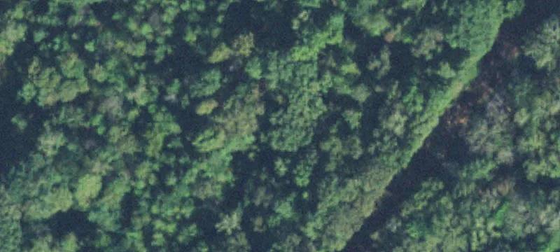 Flatwoods Rd