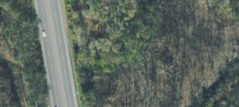 41 Edenwold Rd