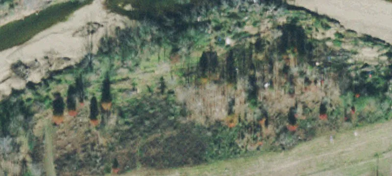 Brown Town Rd