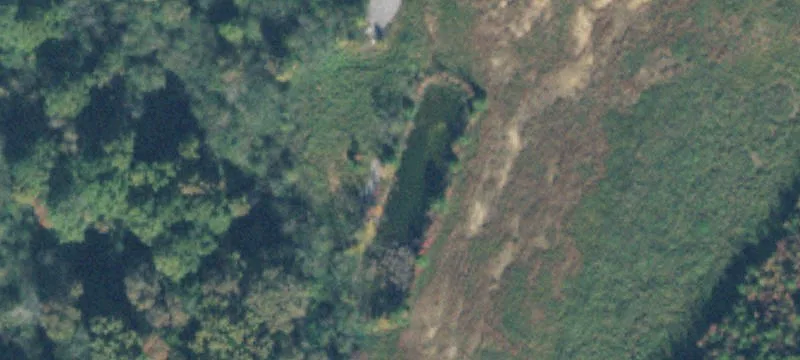 Eagle Feather Dr