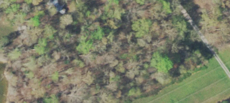 State Hwy 304