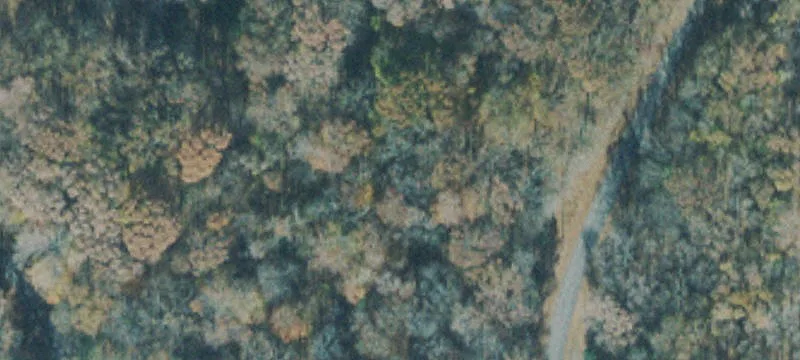 Dry Ck Rd