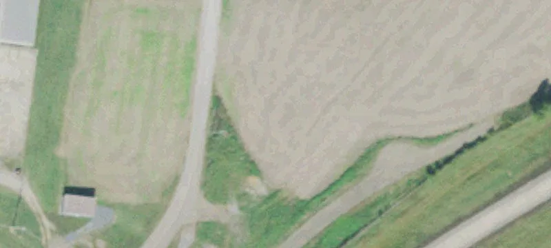 Graham Dr