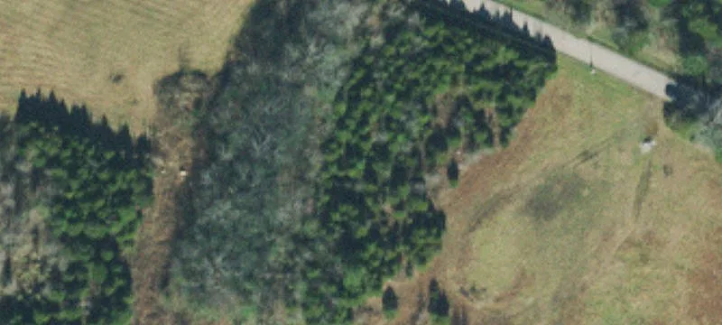 Old Hwy 99