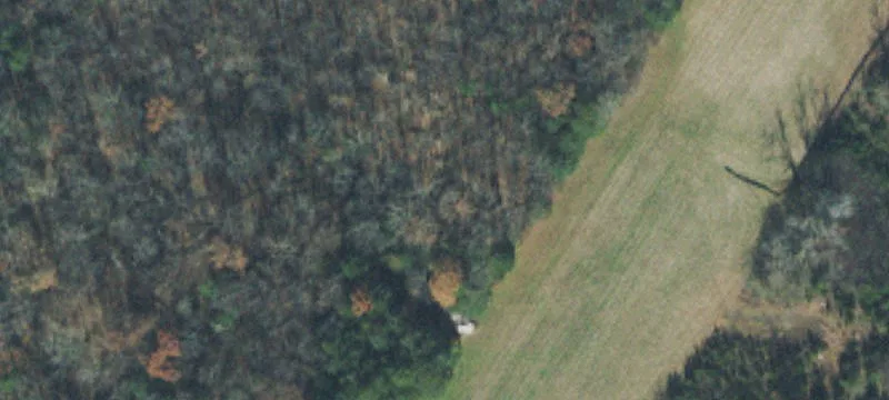 Jefferson Pike