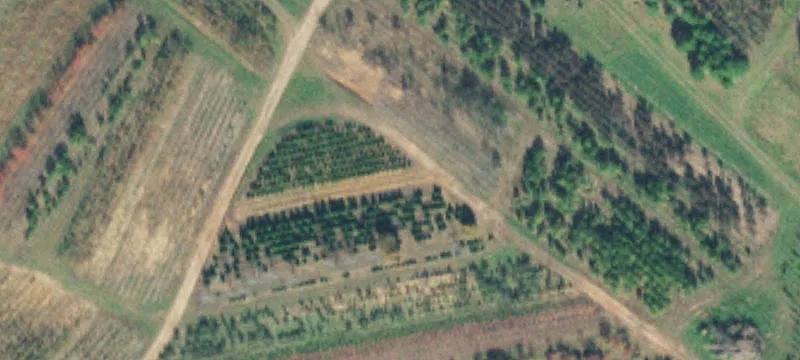 12695 Beersheba Hwy
