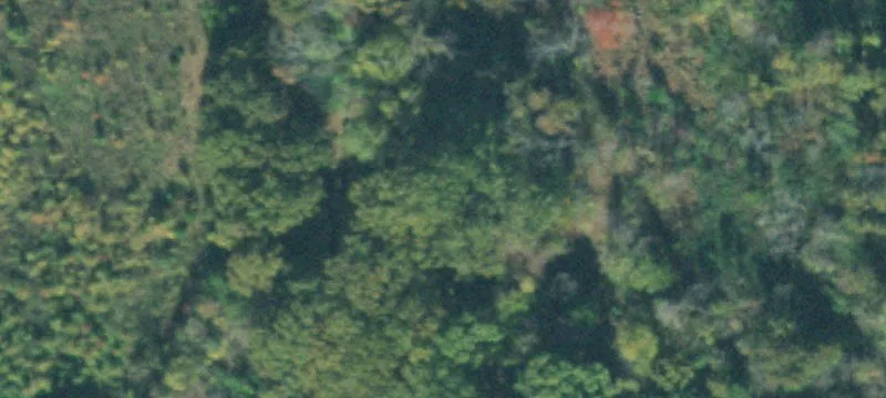 Denmark Jackson Rd