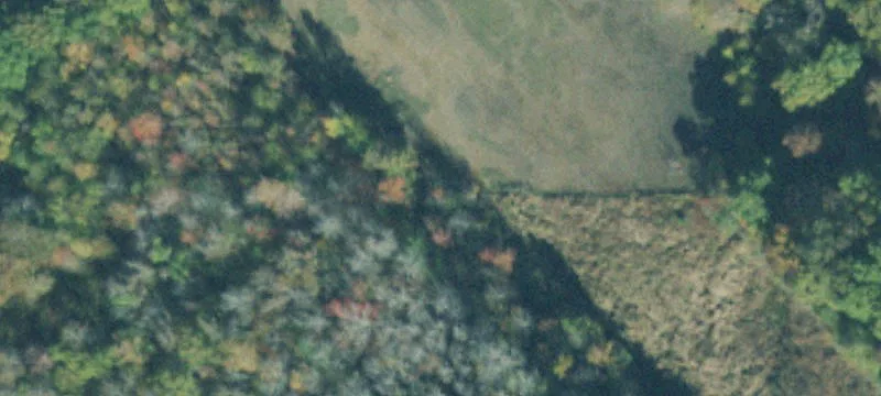 Pisgah Rd