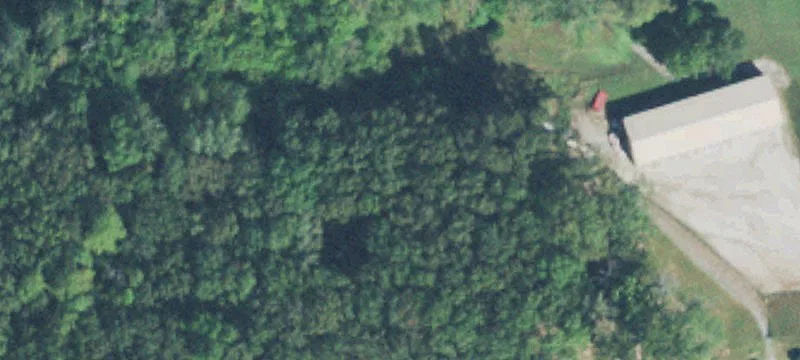 Graceland Rd