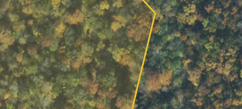 Spg Creek